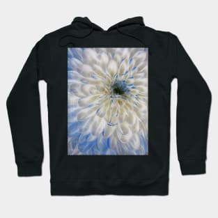 closeup macro photography of white and blue coloured dahlia bloom Hoodie